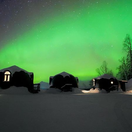 Talkeetna Aerie Adventure Lodge Dış mekan fotoğraf