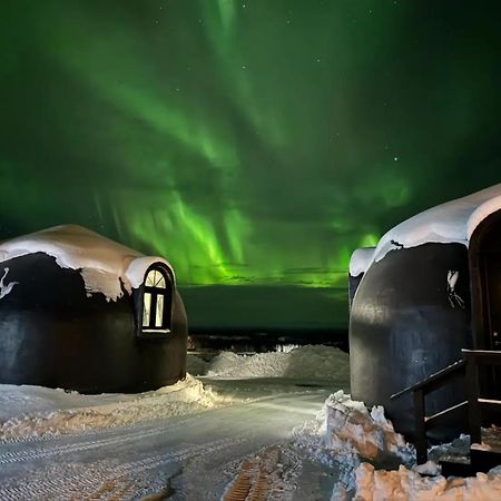 Talkeetna Aerie Adventure Lodge Dış mekan fotoğraf