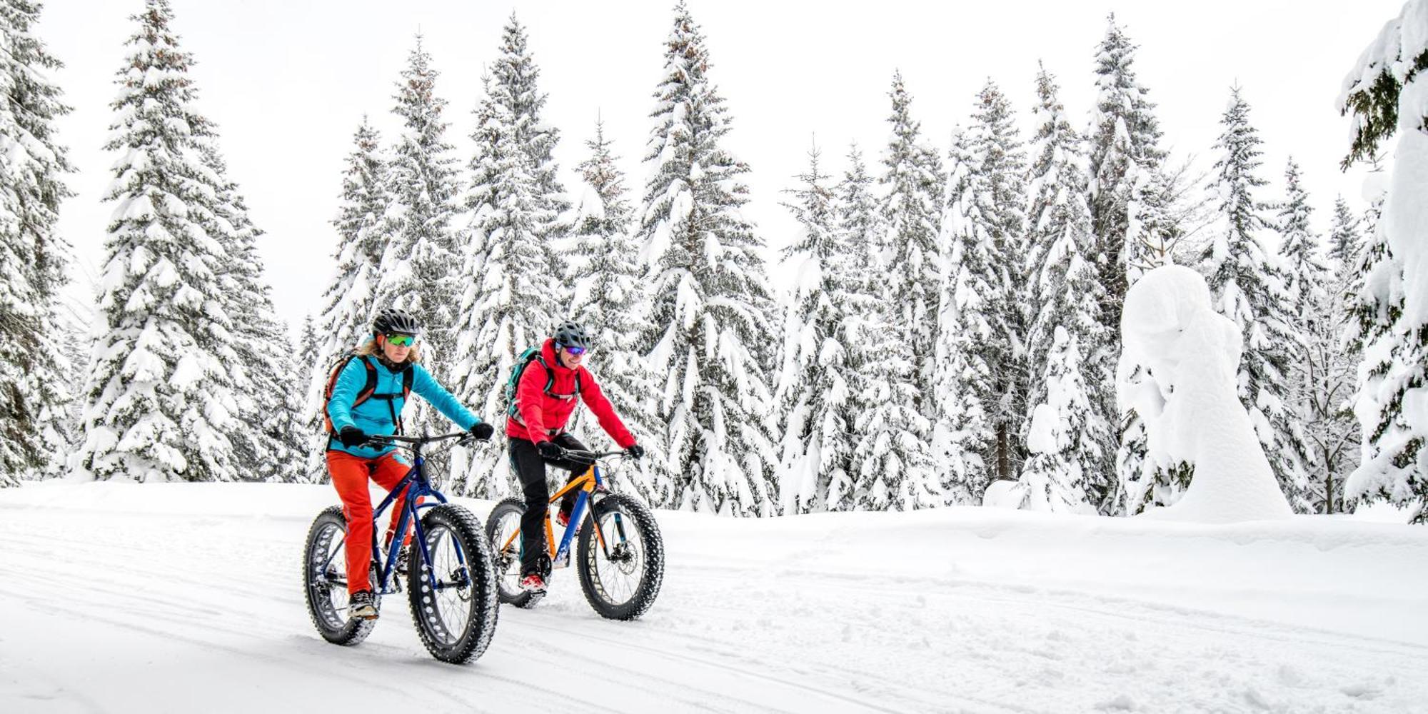 Talkeetna Aerie Adventure Lodge Dış mekan fotoğraf