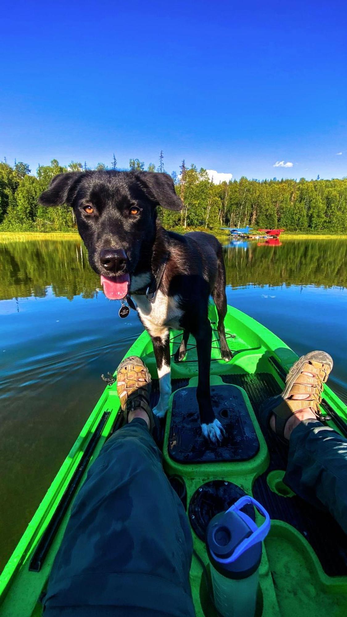 Talkeetna Aerie Adventure Lodge Dış mekan fotoğraf